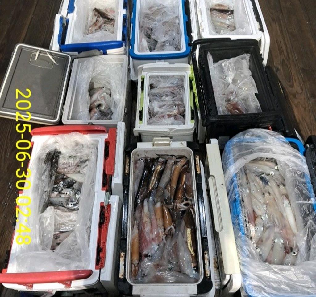 기타 (직접입력), 삼포대교낚시, 낚시뚜