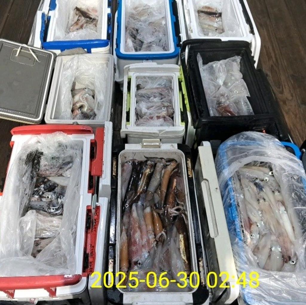 기타 (직접입력), 삼포대교낚시, 낚시뚜