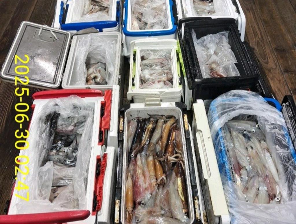 기타 (직접입력), 삼포대교낚시, 낚시뚜