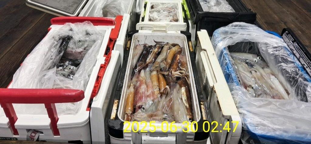 기타 (직접입력), 삼포대교낚시, 낚시뚜