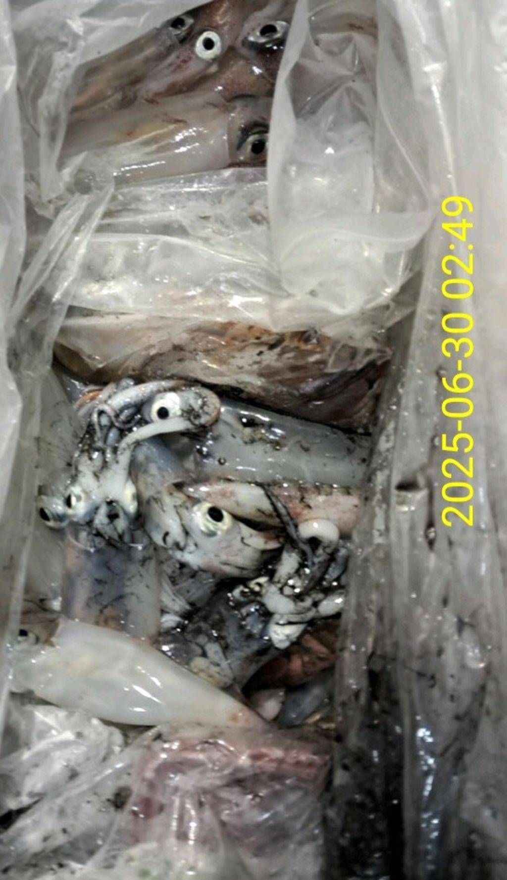 기타 (직접입력), 삼포대교낚시, 낚시뚜