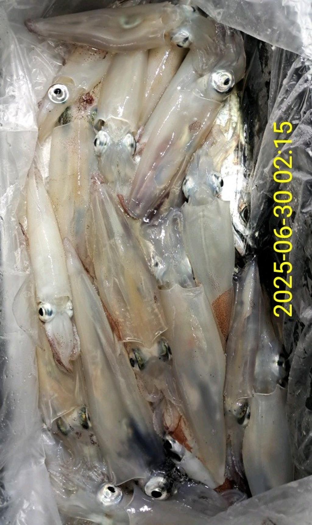 기타 (직접입력), 삼포대교낚시, 낚시뚜