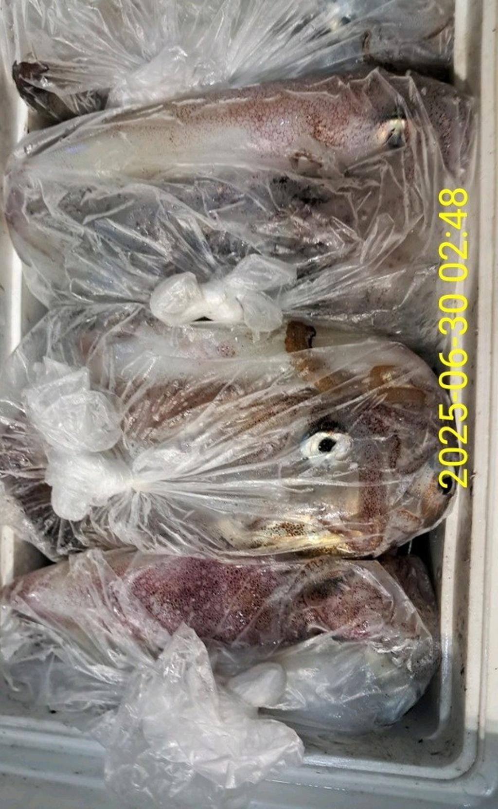 기타 (직접입력), 삼포대교낚시, 낚시뚜
