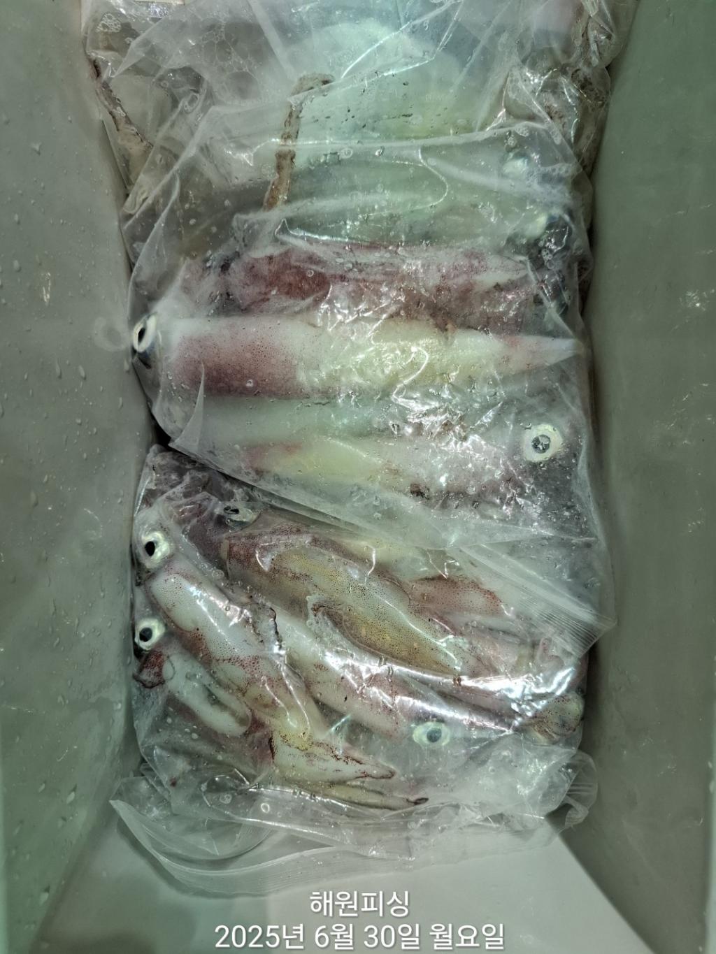 F2714195CR.jpg