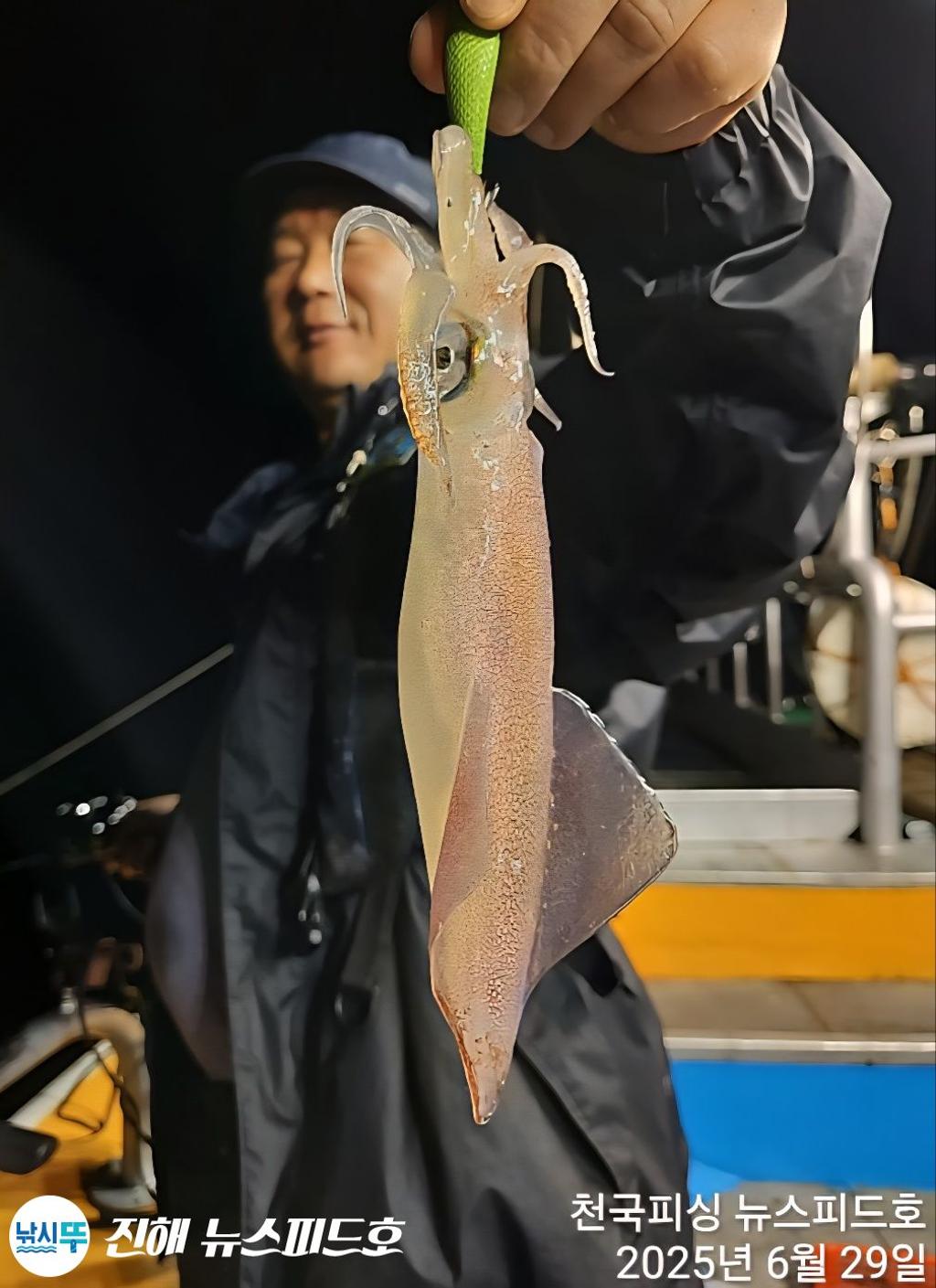 낚시뚜,한치,진해행암항,진해 뉴스피드호,낚시뚜1
