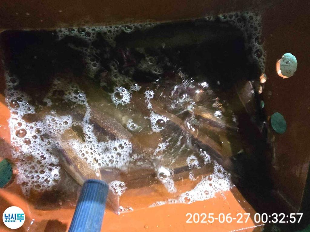 F2714277OR.jpg