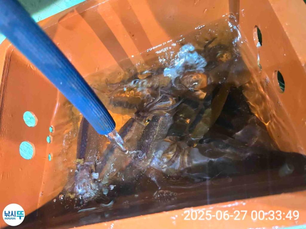 F271428259.jpg