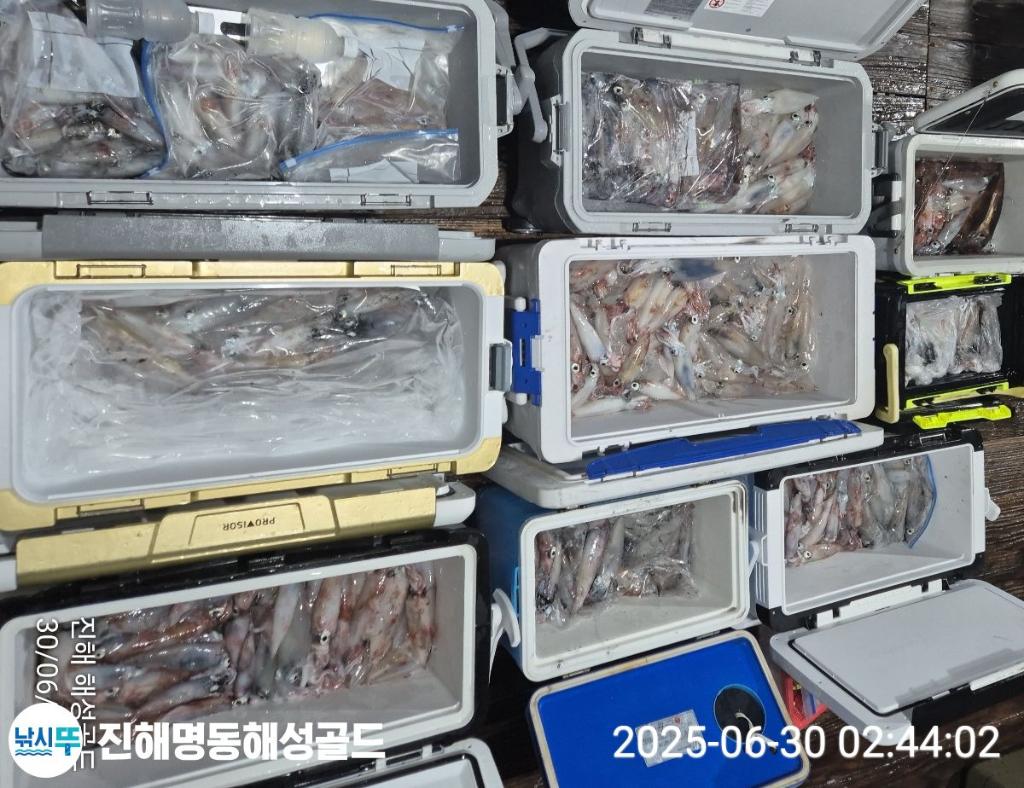 F2714298HZ.jpg