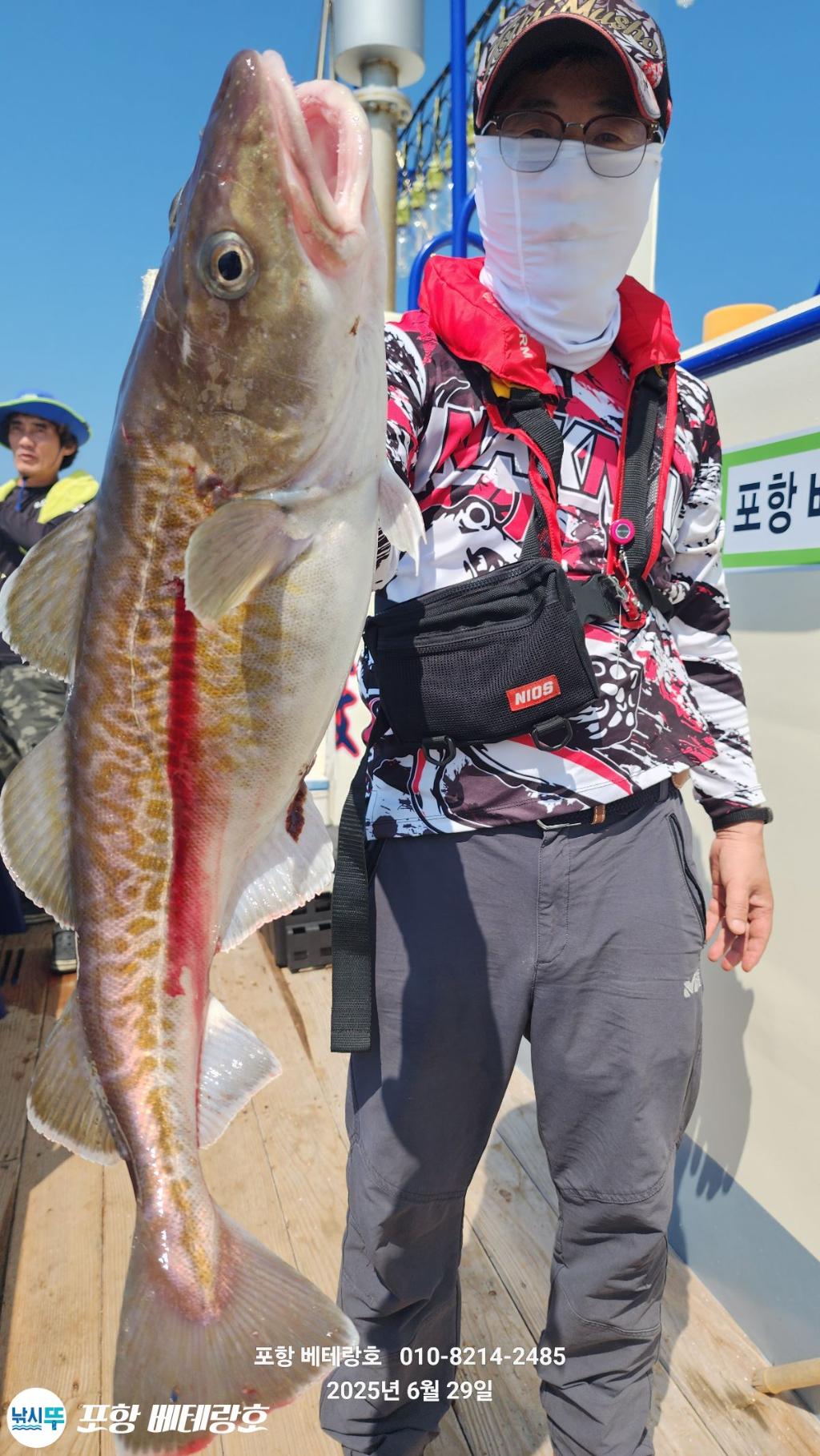 낚시뚜,대구,구룡포항,포항 베테랑호,낚시뚜11