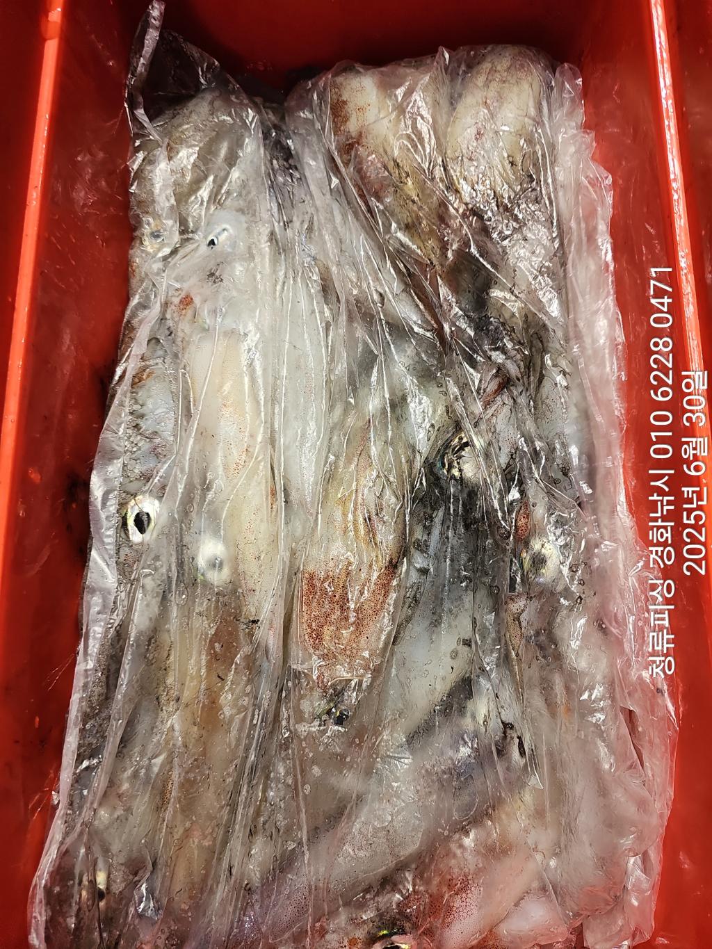 F2714719KH.jpg