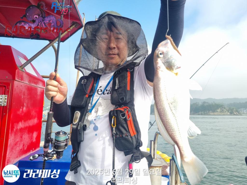 낚시뚜,백조기,속천항(진해),라라피싱,낚시뚜21