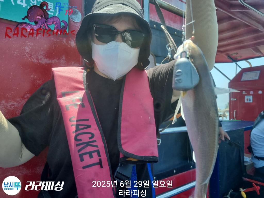 낚시뚜,백조기,속천항(진해),라라피싱,낚시뚜20
