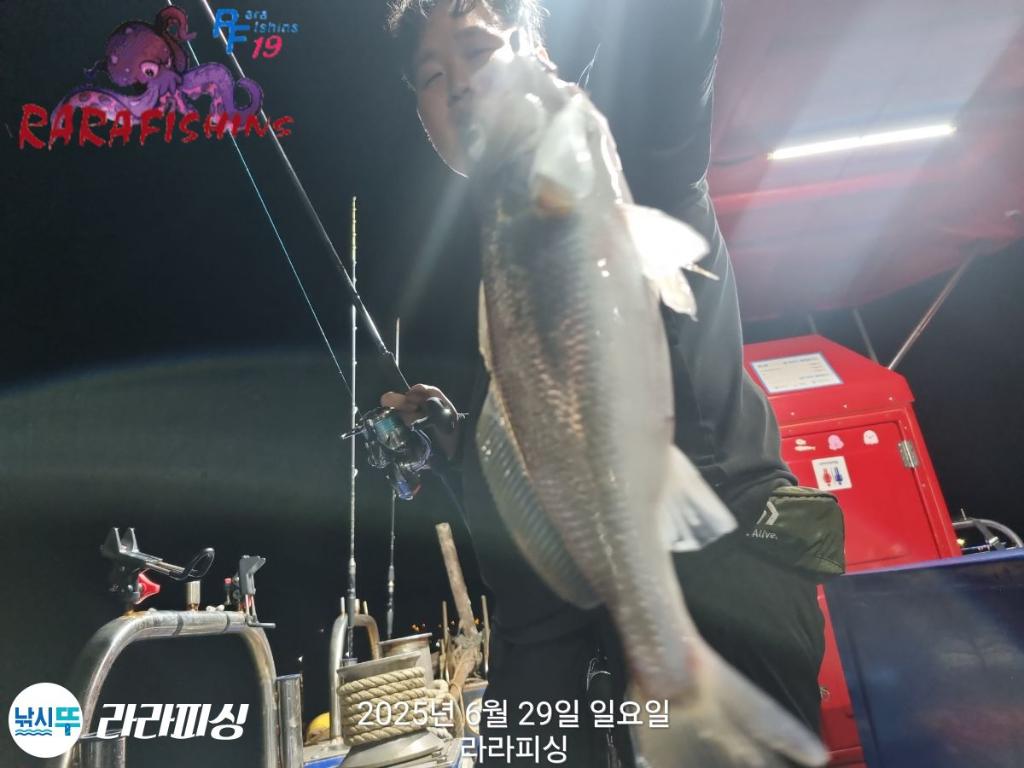 낚시뚜,백조기,속천항(진해),라라피싱,낚시뚜5