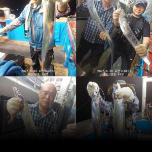 조황, [통영만선피싱] 와 이런 씨알, 마릿수 오랜만입니다!! 아쉽지만 이제 한치시즌~ 5일 한치 출조 자리여유, 9일 문어 출조 자리여유 예약가능!!