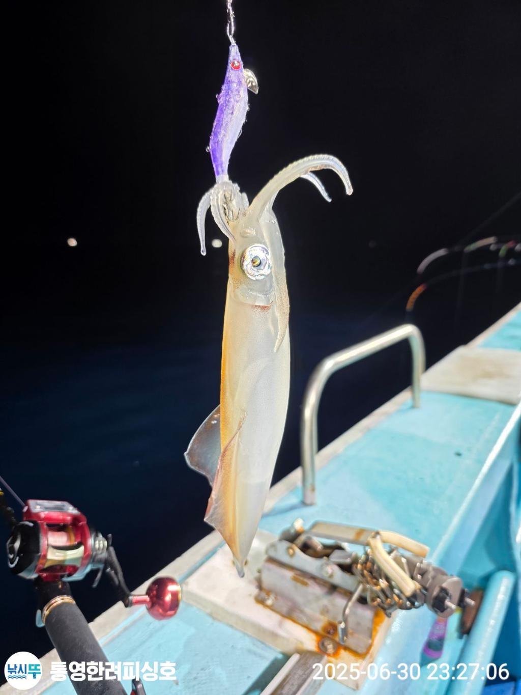 F2714875EQ.jpg