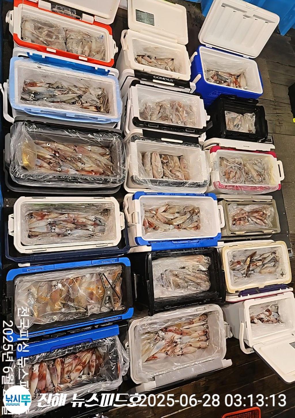 낚시뚜,한치,진해행암항,진해 뉴스피드호,낚시뚜24