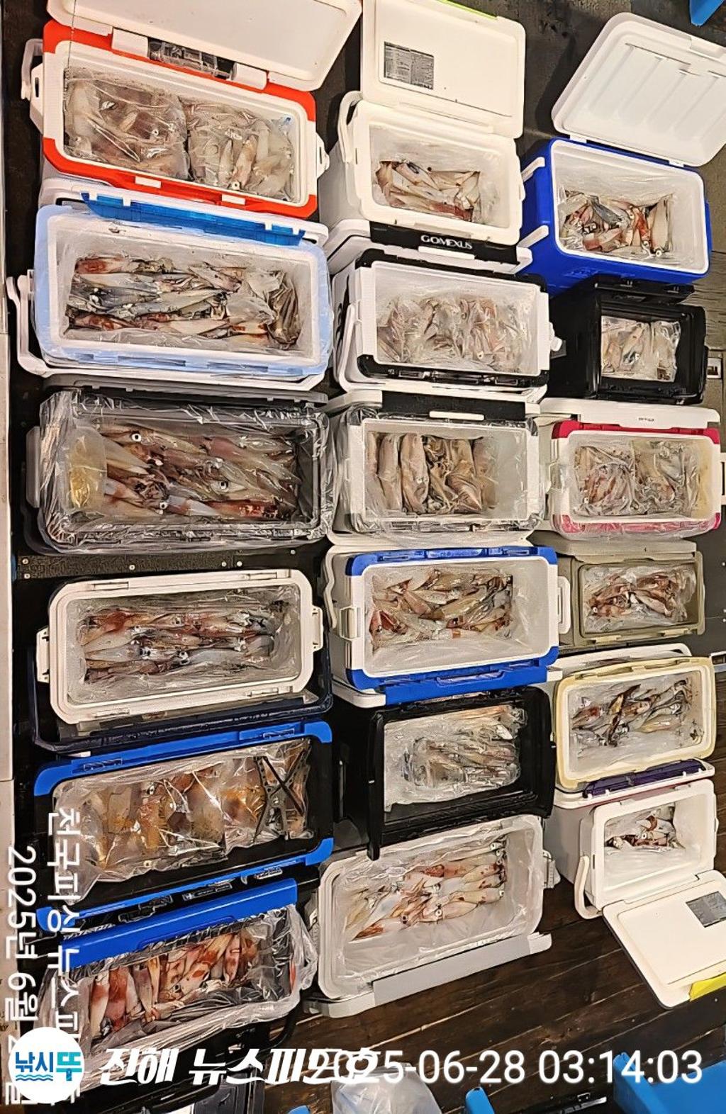 낚시뚜,한치,진해행암항,진해 뉴스피드호,낚시뚜23