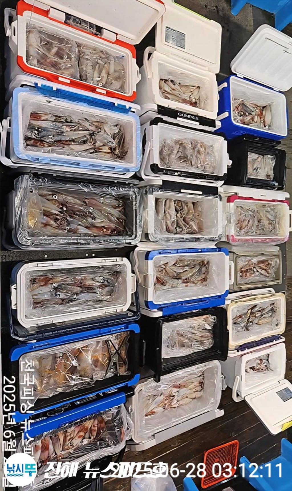 낚시뚜,한치,진해행암항,진해 뉴스피드호,낚시뚜22