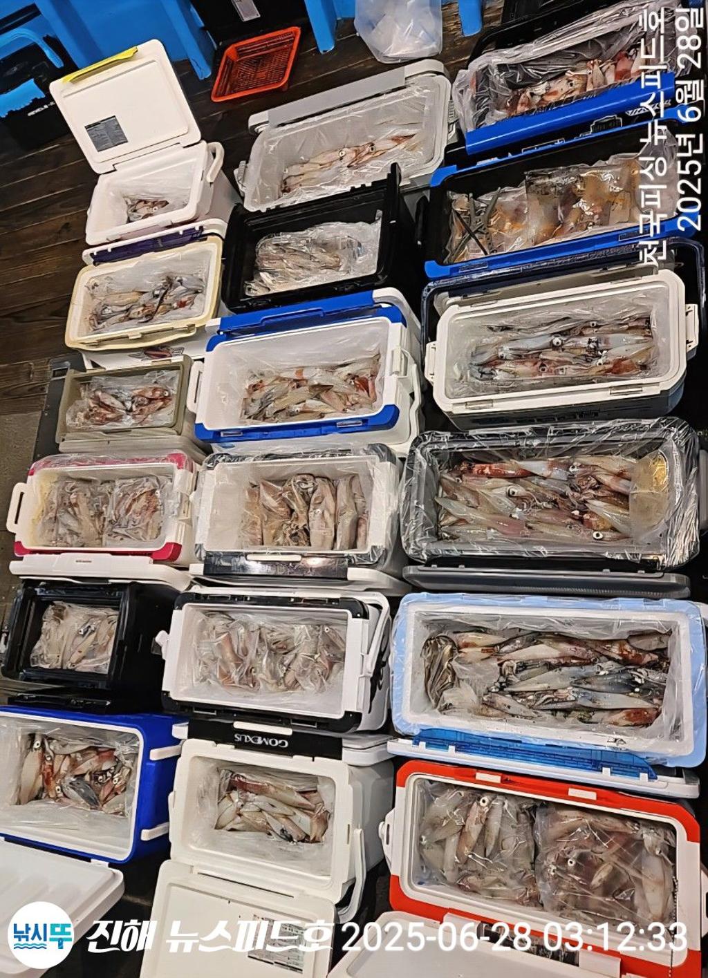 낚시뚜,한치,진해행암항,진해 뉴스피드호,낚시뚜21