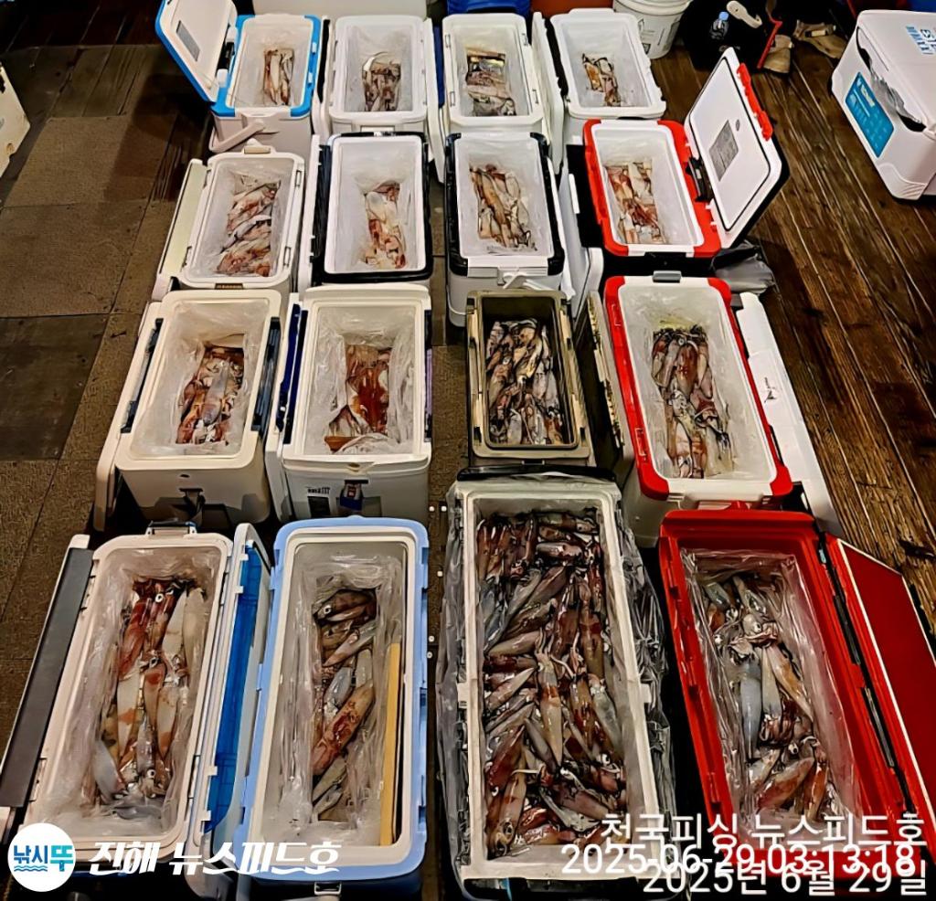 낚시뚜,한치,진해행암항,진해 뉴스피드호,낚시뚜18