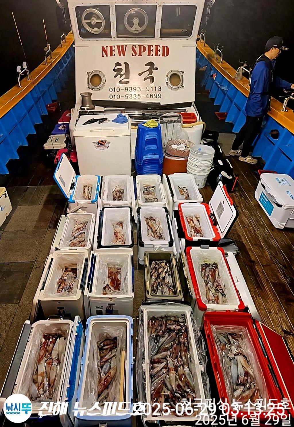 낚시뚜,한치,진해행암항,진해 뉴스피드호,낚시뚜15