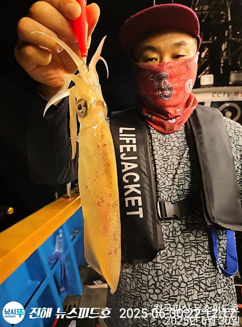 낚시뚜,한치,진해행암항,진해 뉴스피드호,낚시뚜4