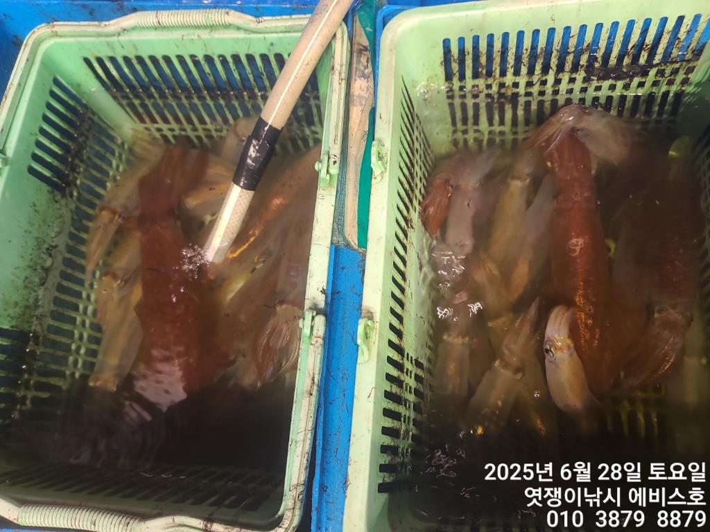 F2715086O1.jpg