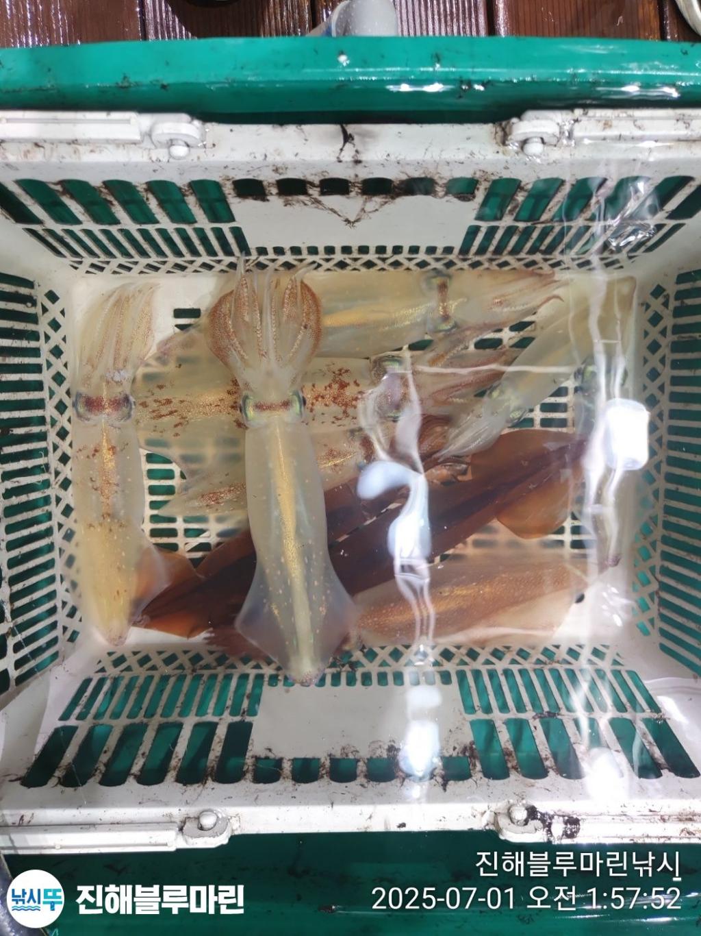 F2715485XL.jpg