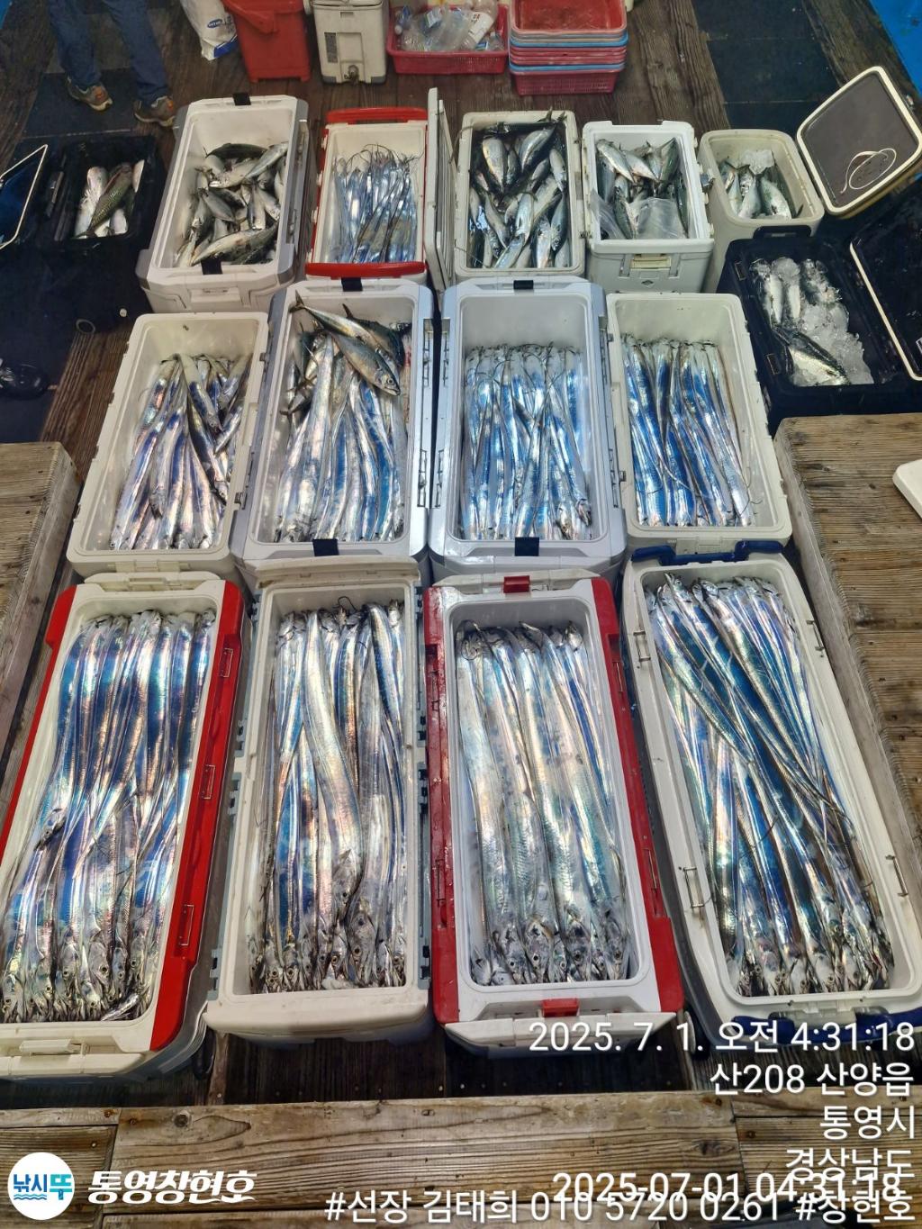 낚시뚜,갈치,통영연명항,통영창현호,낚시뚜18