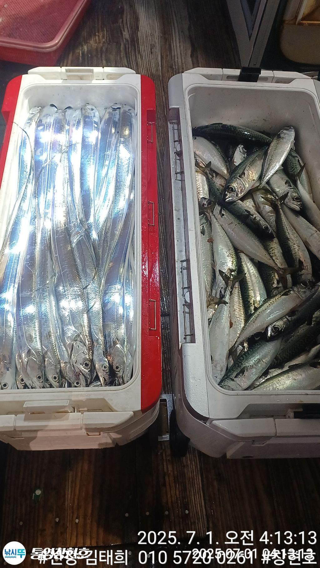 낚시뚜,갈치,통영연명항,통영창현호,낚시뚜11