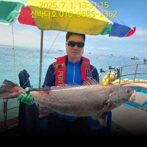 조황, 신바다호  민어조황 입니다