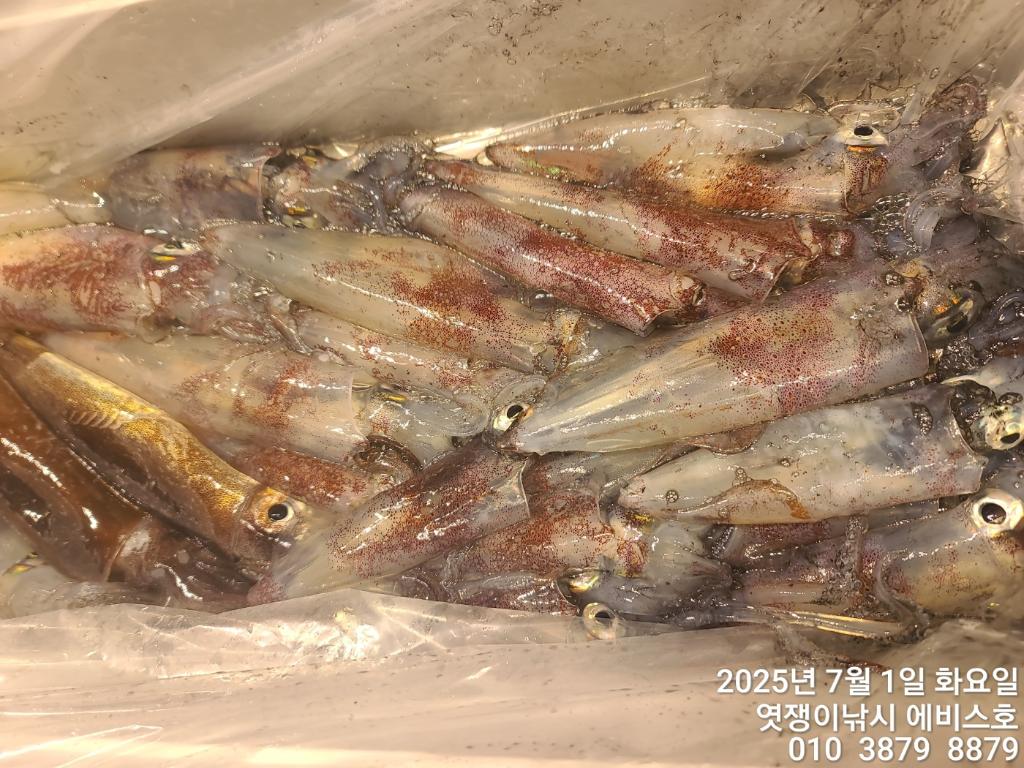 F2715066BP.jpg