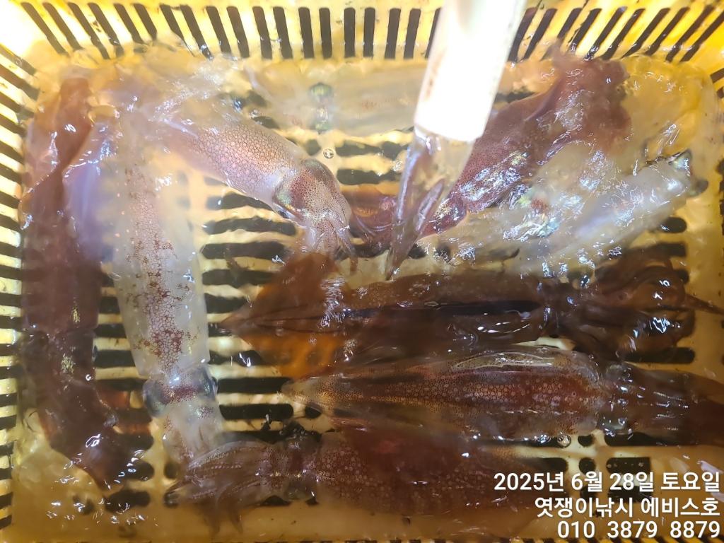 F2715089TC.jpg