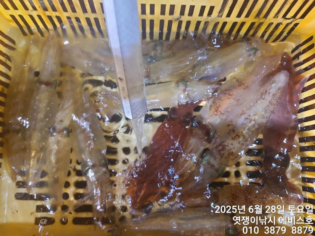 F271509067.jpg