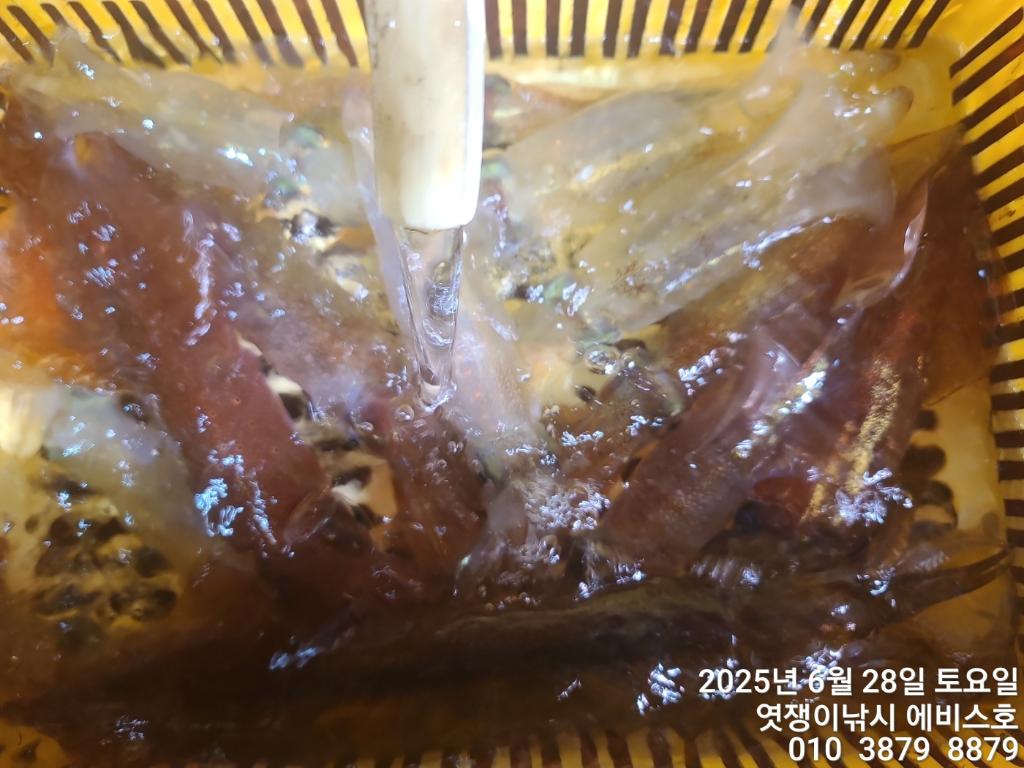 F2715093E5.jpg