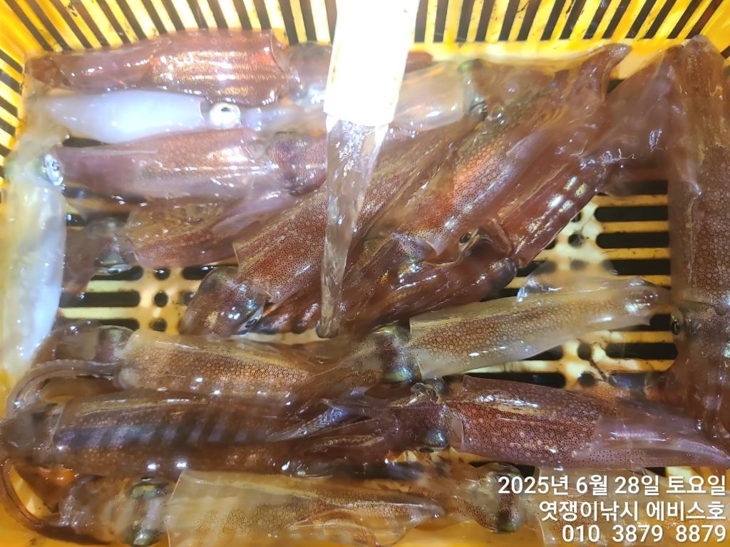 F2715096B8.jpg