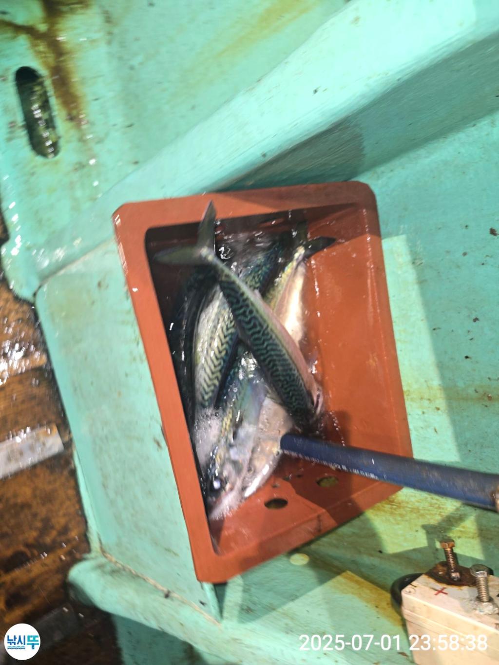 F2715834B3.jpg