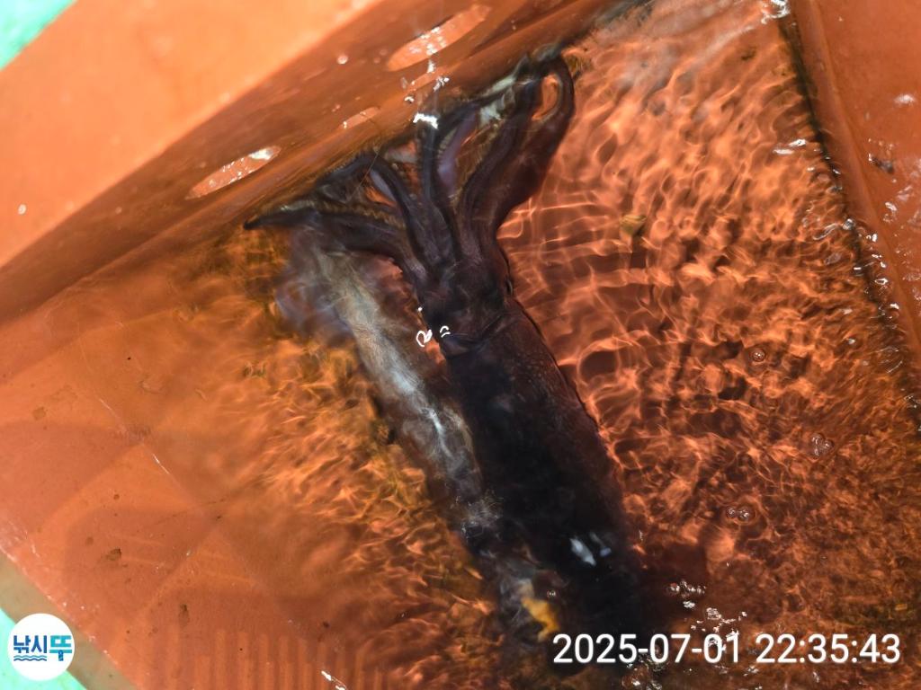 F2715842YI.jpg