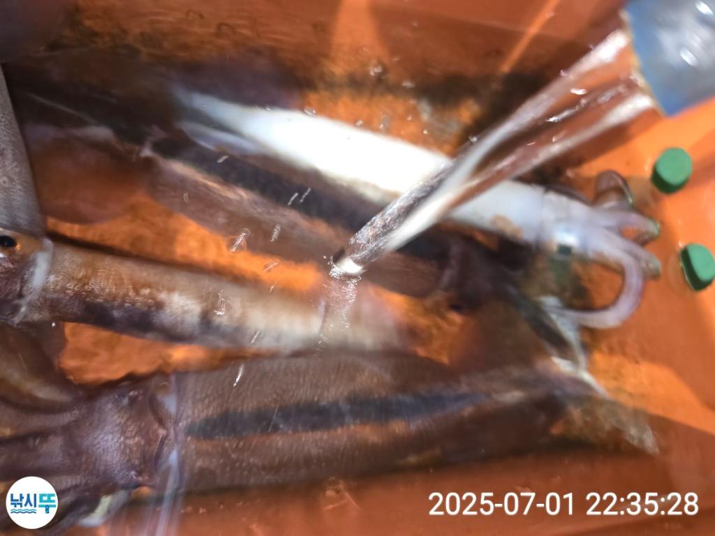 F2715844NL.jpg