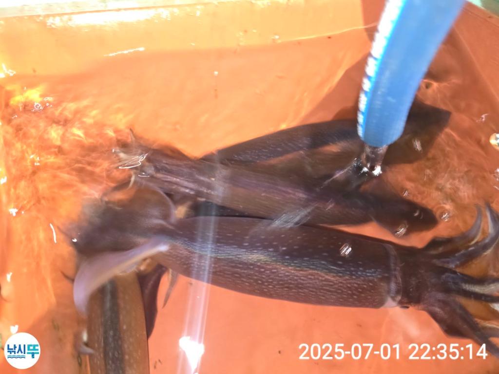 F2715846C1.jpg