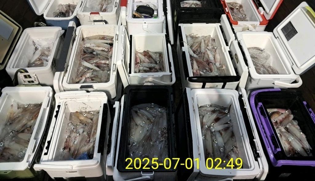 기타 (직접입력), 삼포대교낚시, 낚시뚜