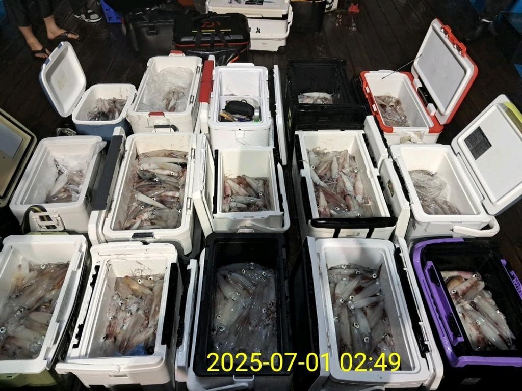 기타 (직접입력), 삼포대교낚시, 낚시뚜