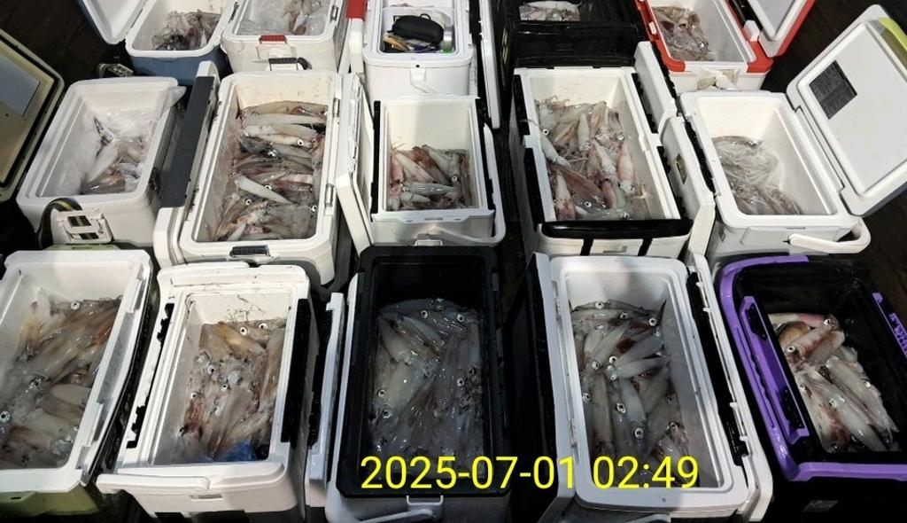 기타 (직접입력), 삼포대교낚시, 낚시뚜