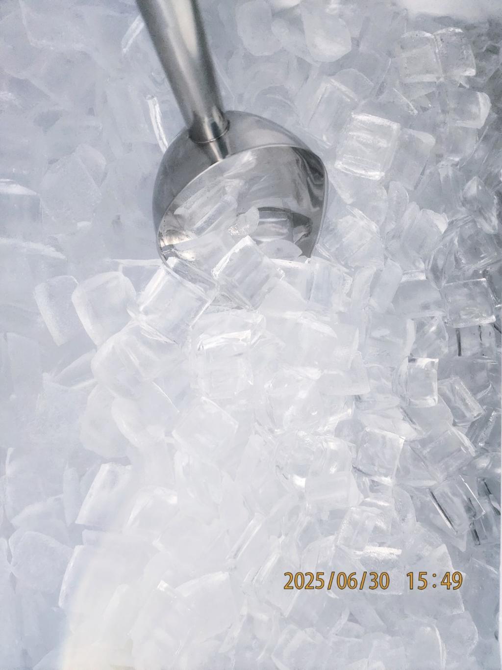 기타 (직접입력), 삼포대교낚시, 낚시뚜
