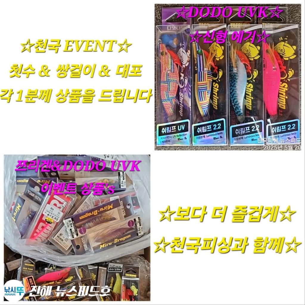 낚시뚜,한치,진해행암항,진해 뉴스피드호,낚시뚜32