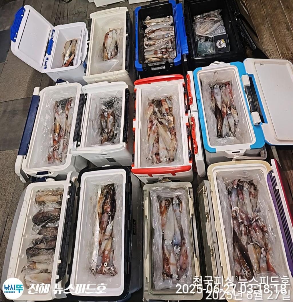 낚시뚜,한치,진해행암항,진해 뉴스피드호,낚시뚜29