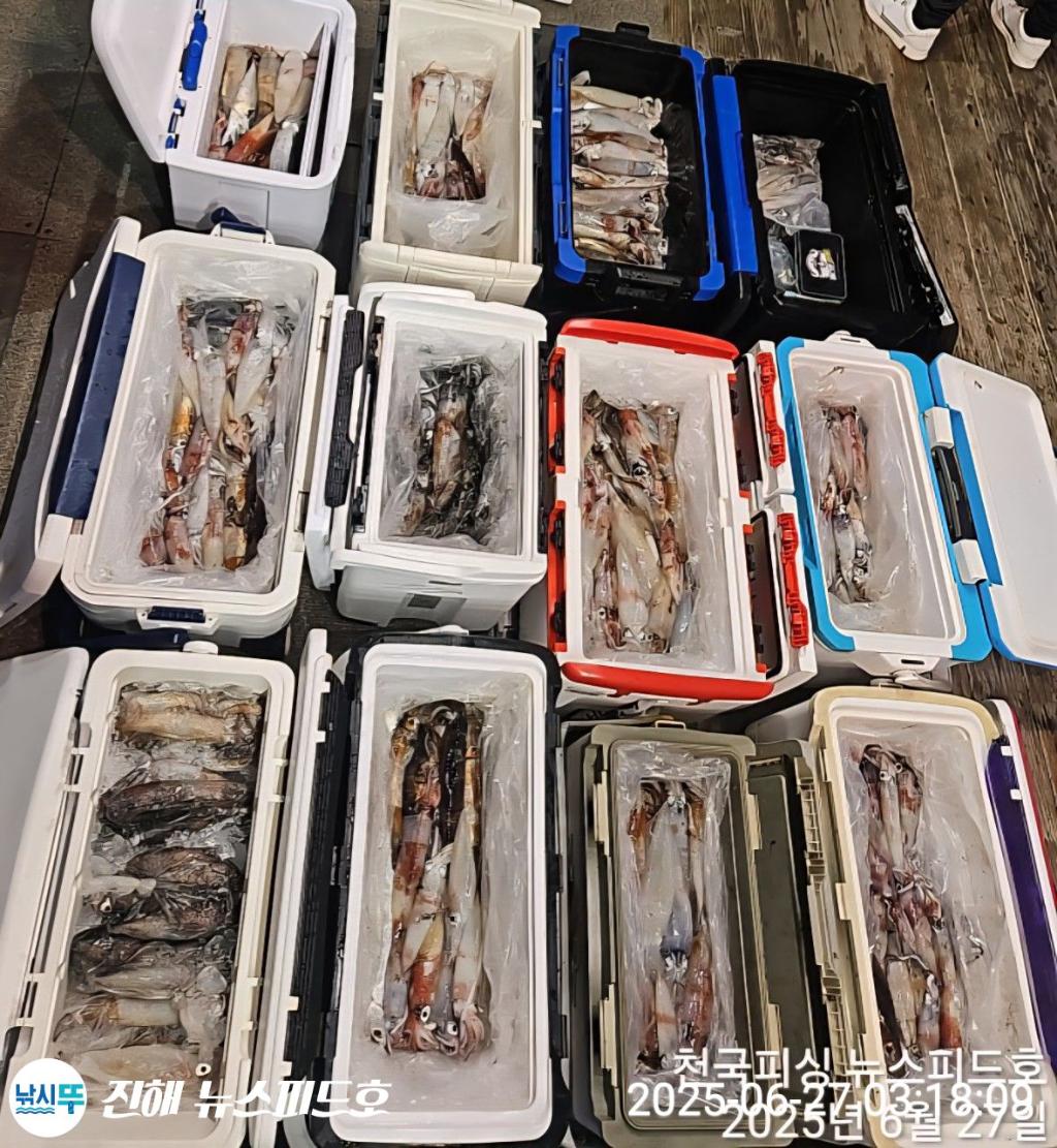 낚시뚜,한치,진해행암항,진해 뉴스피드호,낚시뚜28