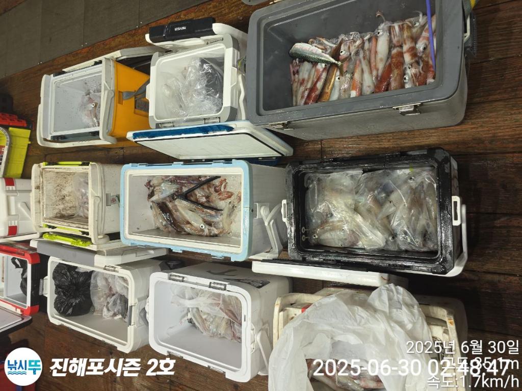 낚시뚜,한치,진해행암항,진해포시즌 2호,낚시뚜2
