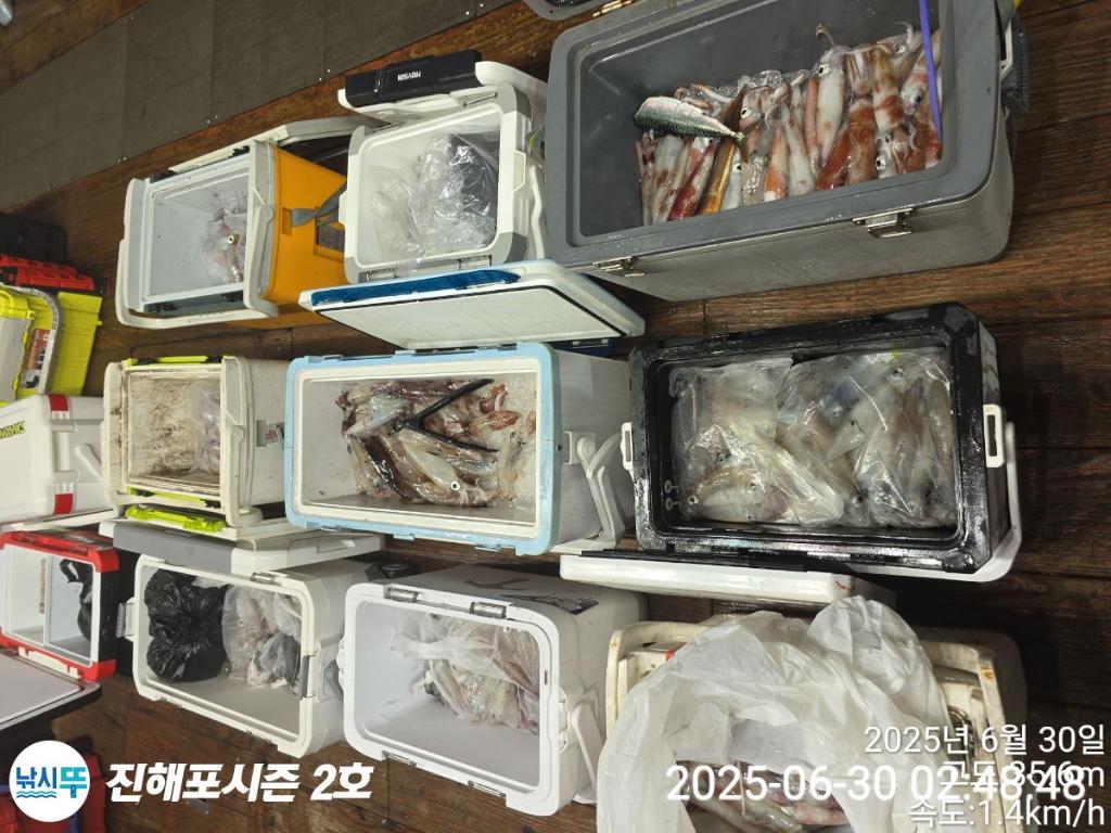 낚시뚜,한치,진해행암항,진해포시즌 2호,낚시뚜1
