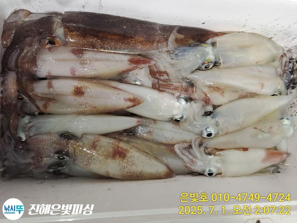 F2715950QS.jpg